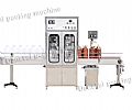 全自動(dòng)液體定量灌裝線(xiàn)(雙頭)